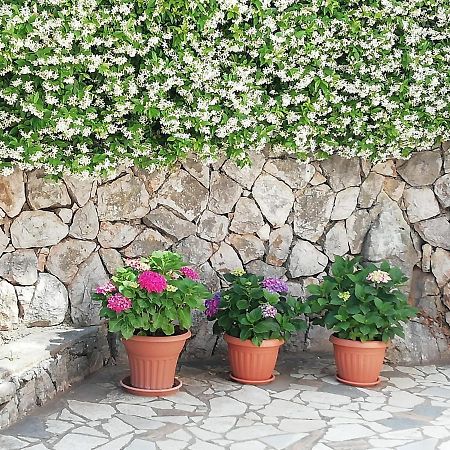 Villa Gromaca Omisalj Ngoại thất bức ảnh