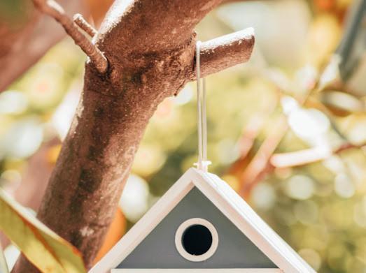 Villa Gromaca Omisalj Ngoại thất bức ảnh